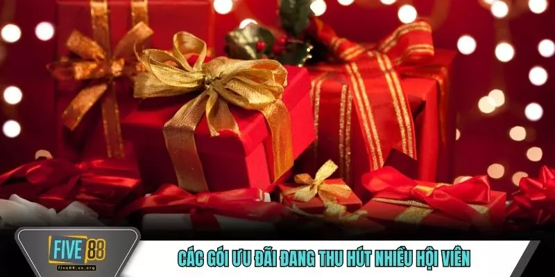 Các gói ưu đãi đang thu hút nhiều hội viên