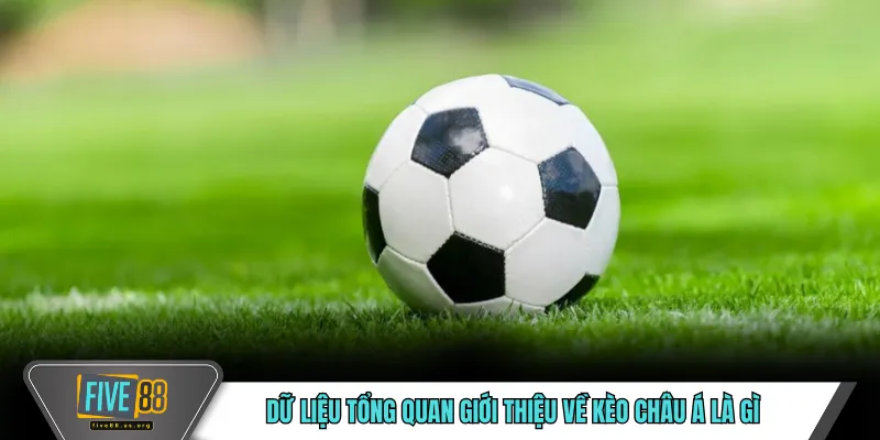 Kèo Châu Á FIVE88 – Khái Niệm Và Cách Hiểu Cơ Bản 2 Dữ liệu tổng quan giới thiệu về kèo châu Á là gì