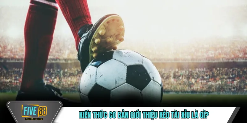 Kèo Tài Xỉu FIVE88 – Cách Tiếp Cận Tổng Bàn Thắng 2 Kiến thức cơ bản giới thiệu kèo tài xỉu là gì?