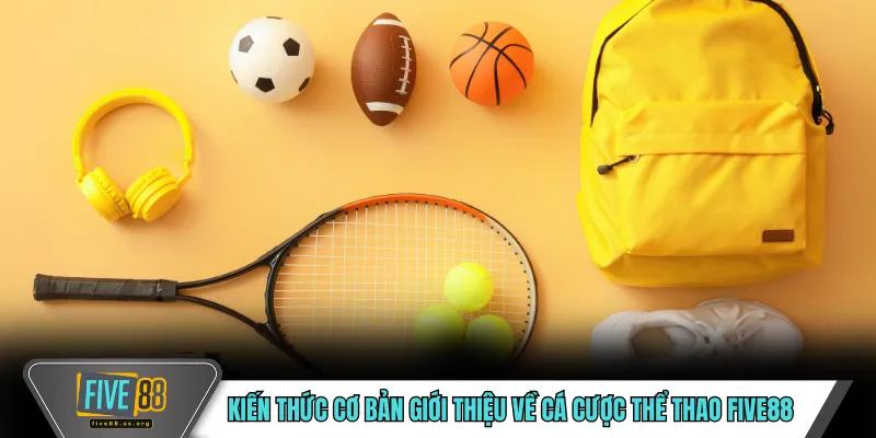 Cá Cược Thể Thao FIVE88 – Trải Nghiệm Cá Cược Toàn Diện 2 Kiến thức cơ bản giới thiệu về cá cược thể thao FIVE88