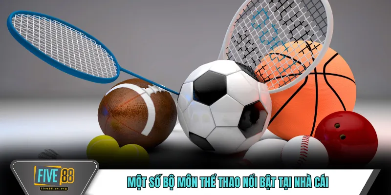 Một số bộ môn thể thao nổi bật tại nhà cái