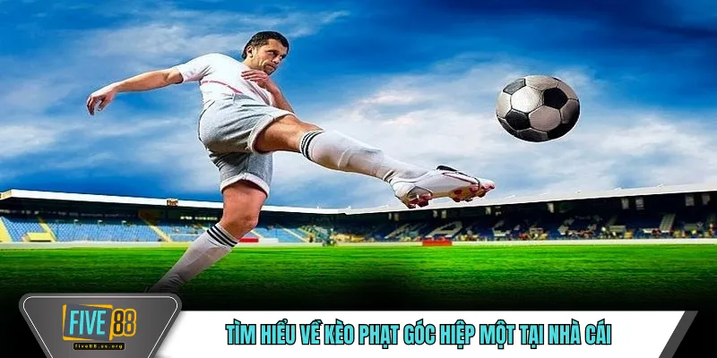 Kèo Phạt Góc FIVE88 – Góc Nhìn Theo Tình Huống Tấn Công 3 Tìm hiểu về kèo phạt góc hiệp một tại nhà cái